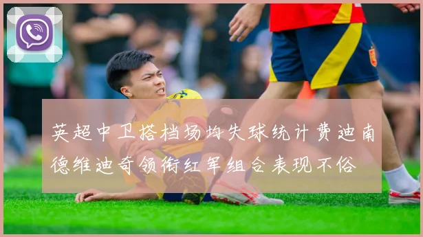 英超中卫搭档场均失球统计费迪南德维迪奇领衔红军组合表现不俗
