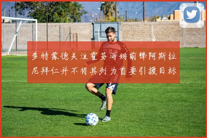 多特蒙德关注霍芬海姆前锋阿斯拉尼拜仁并不将其列为首要引援目标