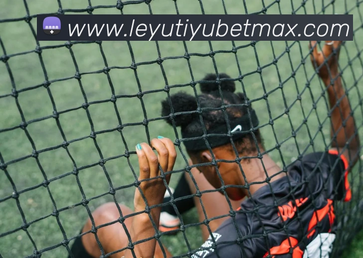 乐鱼体育APP 高清赛事图