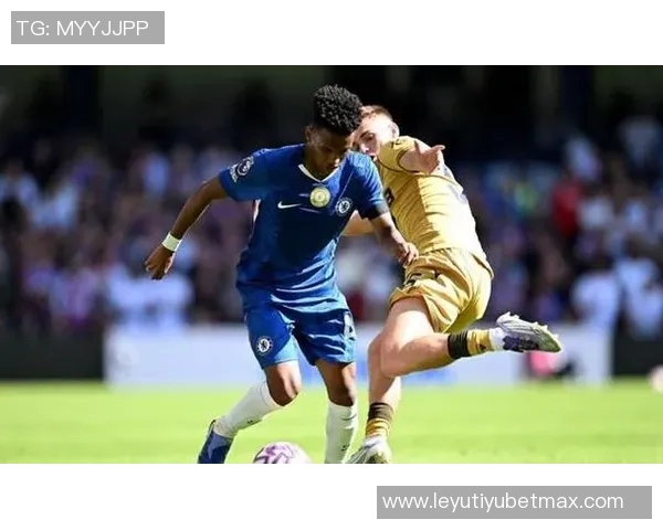 帕尔默因腹股沟伤势缺阵至11月将缺席至少四场重要比赛